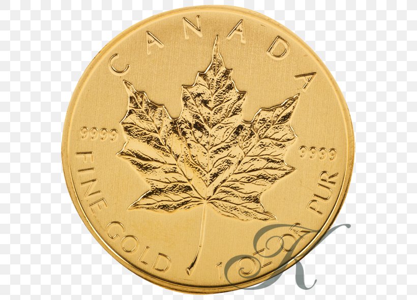 Canadian Gold Maple Leaf Bullion Coin Krugerrand, PNG, 600x590px, Gold, Bullion Coin, Canadian Gold Maple Leaf, Coin, Currency Download Free