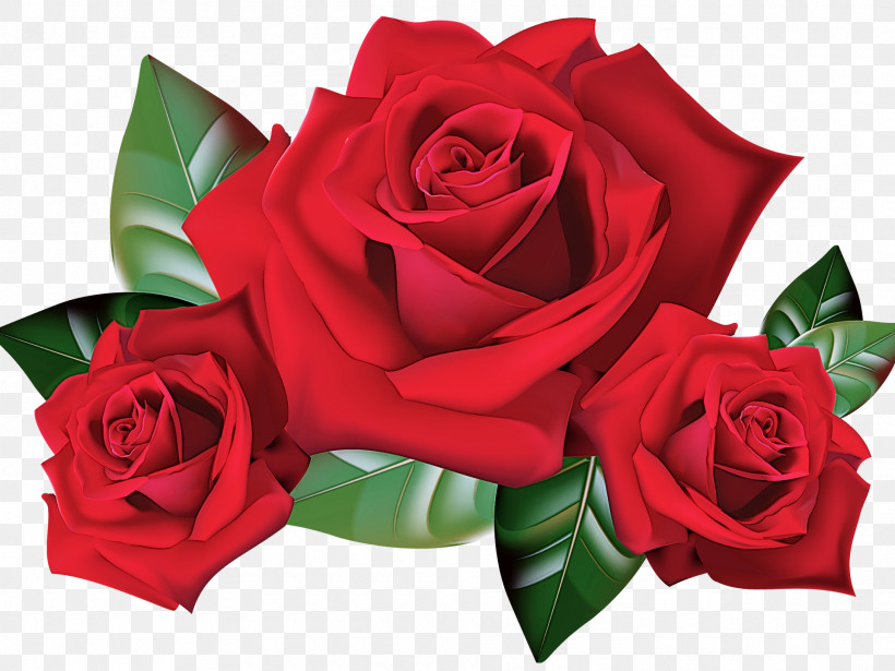 Garden Roses, PNG, 1920x1440px, Flower, Bouquet, Cut Flowers, Floribunda, Floristry Download Free