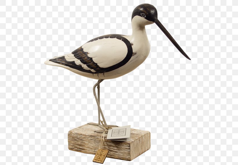 Seabird Beak Sculpture, PNG, 570x570px, Bird, Beach, Beak, Coast, Ducks Geese And Swans Download Free