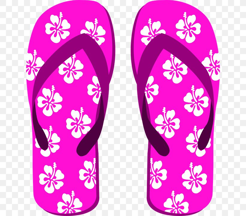 Slipper Flip-flops Shoe Sandal, PNG, 646x720px, Slipper, Ballet Shoe, Boot, Clothing, Flip Flops Download Free