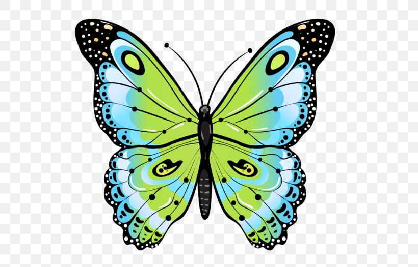 Butterfly Drawing Moth, PNG, 600x525px, Butterfly, Arthropod, Brush Footed Butterfly, Butterflies And Moths, Color Download Free