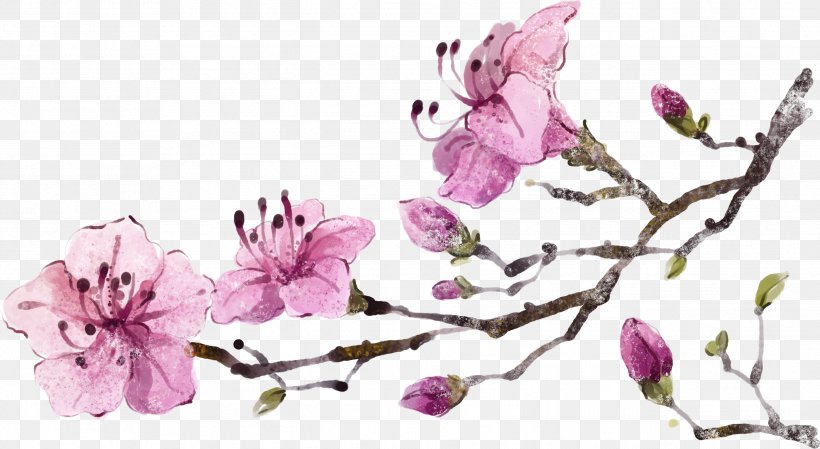Flower Drawing Computer File, PNG, 2589x1418px, Flower, Blossom, Branch, Cherry Blossom, Cut Flowers Download Free
