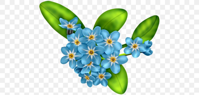 Flower Illustrator Clip Art, PNG, 500x390px, Flower, Blue, Borage Family, Botanical Illustration, Flowering Plant Download Free
