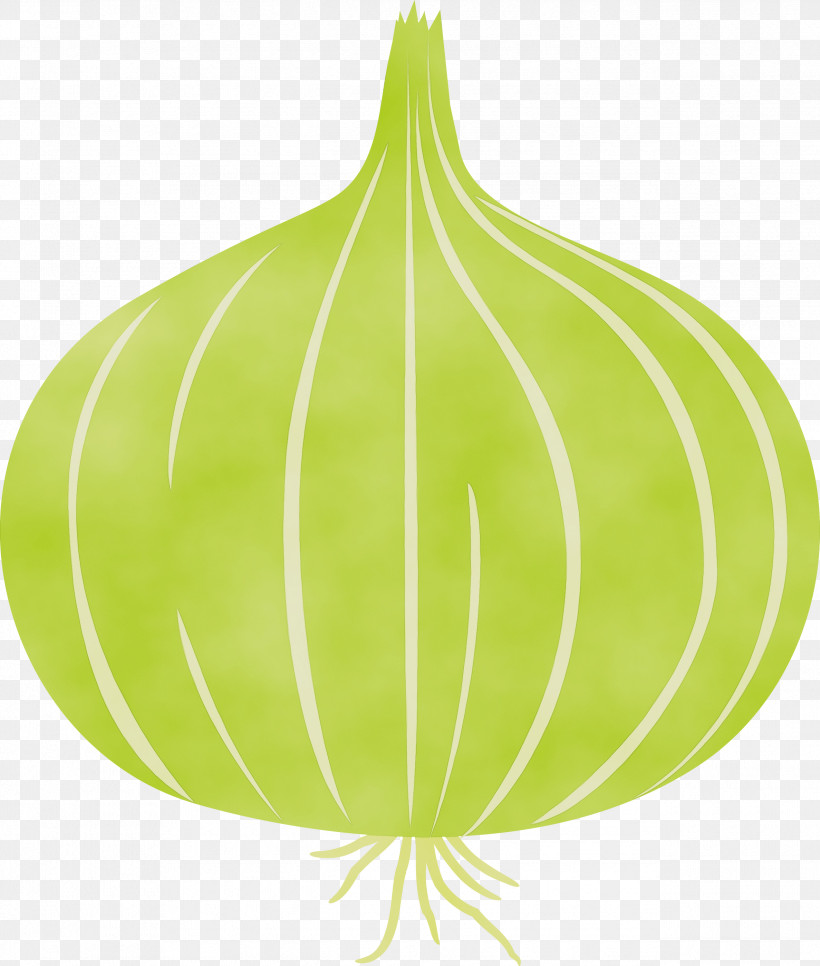 Leaf Green Tree Fruit Science, PNG, 2545x2999px, Onion, Biology, Fruit, Green, Leaf Download Free