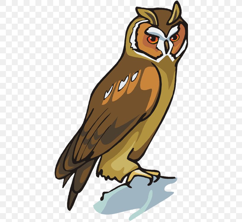 Owl School Reading Comprehension Understanding, PNG, 455x750px, Owl, Beak, Bird, Bird Of Prey, Classroom Download Free