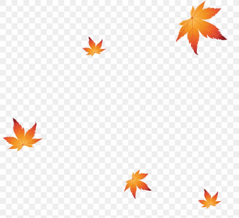 Image Maple Leaf Vector Graphics, PNG, 3100x2835px, Leaf, Autumn, Autumn Leaf Color, Maple Leaf, Orange Download Free