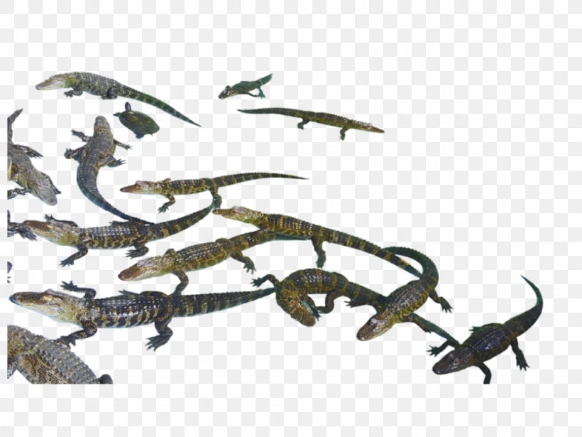 Reptile Nile Crocodile American Alligator Saltwater Crocodile, PNG, 1024x768px, Reptile, Alligators, American Alligator, American Crocodile, Ankylosaurus Download Free