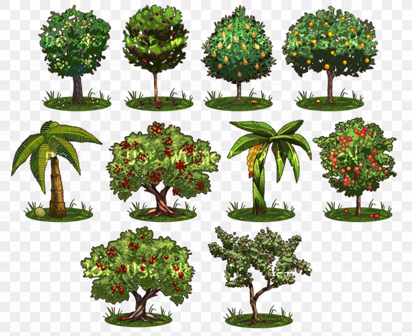 Tree Game Plant Drawing Shrub, PNG, 858x700px, 2d Computer Graphics, Tree, Art, Baobab, Bonsai Download Free