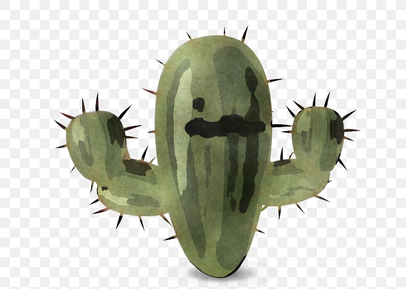 Cactus, PNG, 640x584px, Thorns Spines And Prickles, Cactus, Insect, Plant, Prickly Pear Download Free