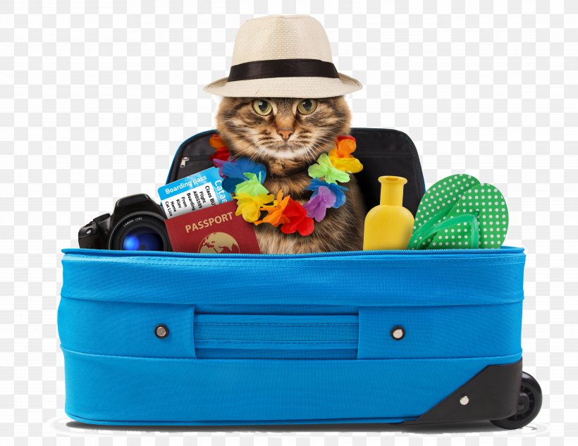 Cat Kitten Dog Pet Sitting Puppy, PNG, 4978x3843px, Cat, Backpack, Baggage, Dog, Hotel Download Free