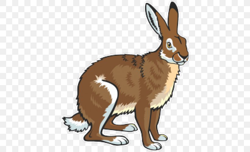 European Hare Arctic Hare Snowshoe Hare Clip Art, PNG, 500x500px, European Hare, Arctic Hare, Carnivoran, Dog Like Mammal, Domestic Rabbit Download Free