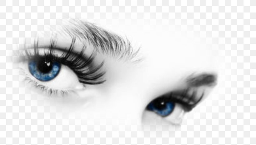 Eye Color Human Eye Eyelash Ardell Lashes Wispies, PNG, 810x464px, Watercolor, Cartoon, Flower, Frame, Heart Download Free
