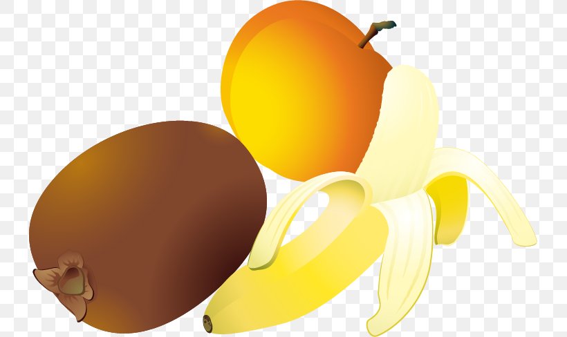 Kiwifruit Apple Clip Art, PNG, 735x488px, Kiwifruit, Apple, Apricot, Auglis, Banana Download Free