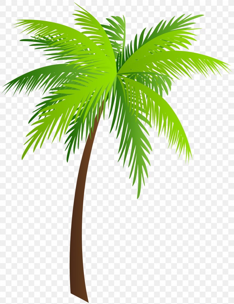 Palm Trees Asian Palmyra Palm Clip Art, PNG, 3857x5000px, Arecaceae, Arecales, Asian Palmyra Palm, Borassus, Borassus Flabellifer Download Free