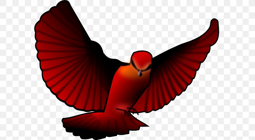 Bird Clip Art Openclipart Image Northern Cardinal, PNG, 600x451px, Bird, Beak, Bird Flight, Bird Of Prey, Drawing Download Free