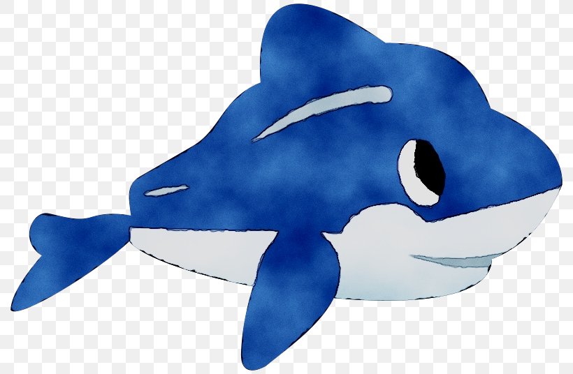 Common Bottlenose Dolphin Marine Biology Cartilaginous Fishes, PNG, 800x536px, Common Bottlenose Dolphin, Biology, Blue, Bottlenose Dolphin, Cartilage Download Free