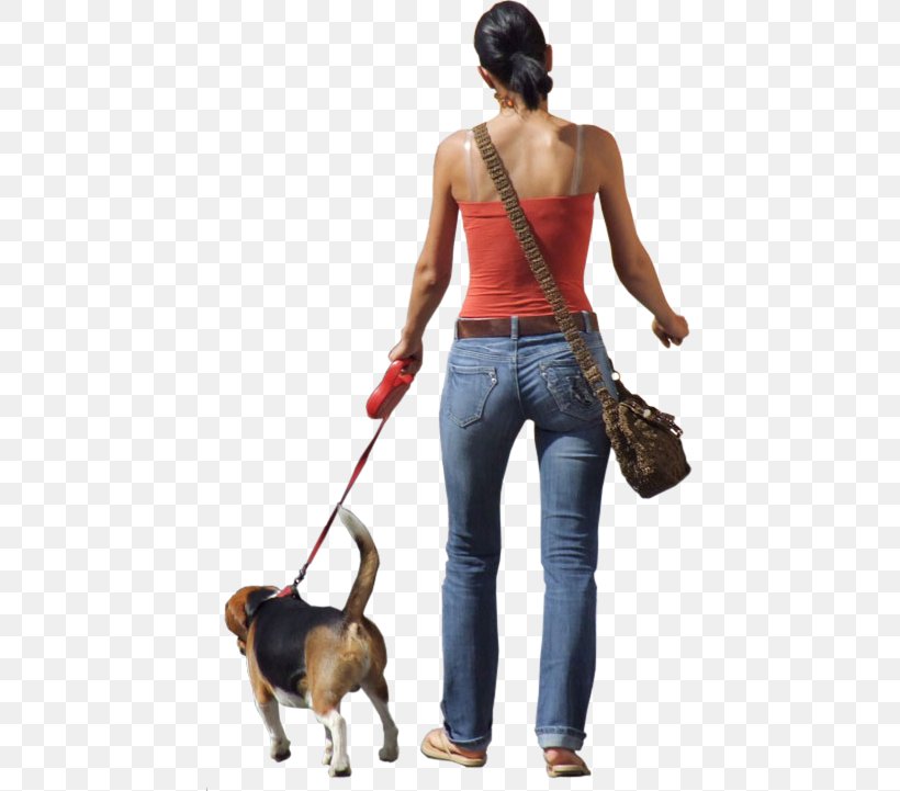 Dog Walking Clip Art, PNG, 721x721px, Walking, Alpha Compositing, Dog, Dog Breed, Dog Like Mammal Download Free