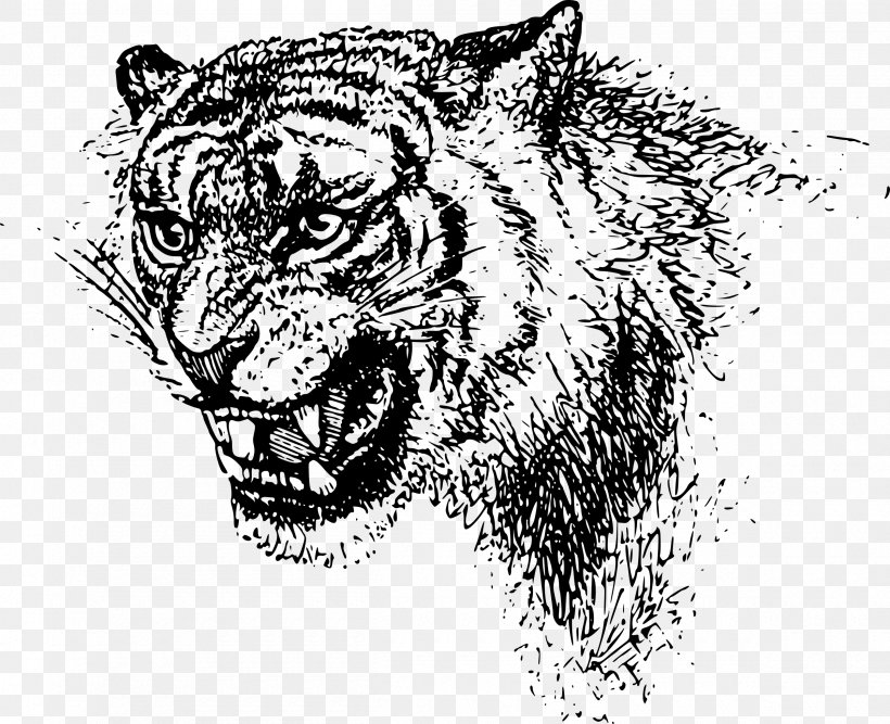 Tiger Felidae Lion Clip Art, PNG, 2400x1954px, Tiger, Art, Big Cat, Big Cats, Black And White Download Free