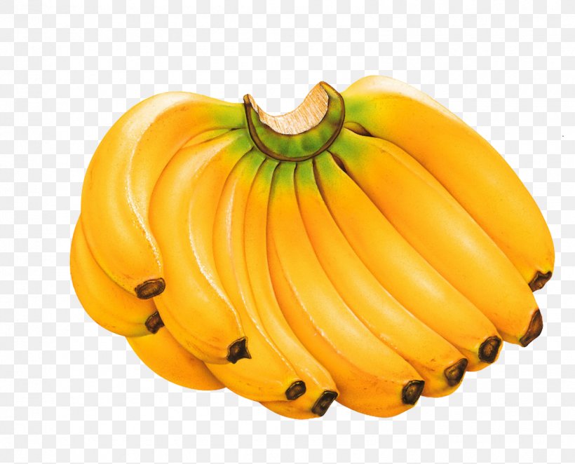 Banana Fruit Salad Food Eating Peel, PNG, 1584x1280px, Banana, Banana Family, Banana Peel, Calabaza, Cucurbita Download Free