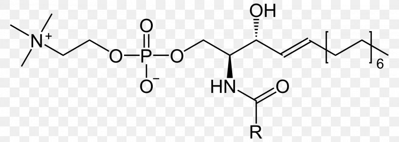 Ceramide Sphingolipid Sphingomyelin Cerebroside, PNG, 1920x685px ...