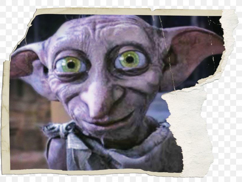 Dobby The House Elf Harry Potter And The Deathly Hallows Hermione Granger Ron Weasley, PNG, 1024x773px, Dobby The House Elf, Cat, Cat Like Mammal, Clothing, Costume Download Free