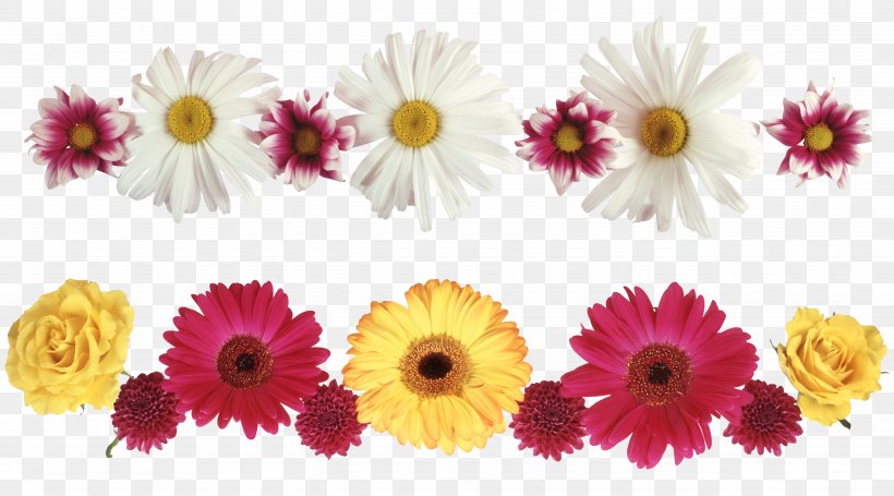 Download Chrysanthemum, PNG, 5315x2953px, Chrysanthemum, Annual Plant, Artificial Flower, Chrysanths, Cut Flowers Download Free
