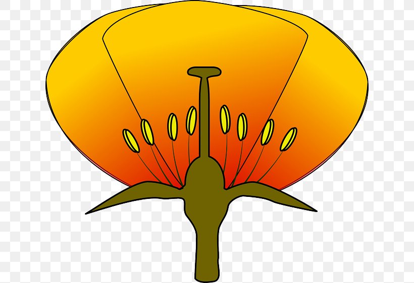 Flower Diagram Clip Art, PNG, 640x562px, Flower, Artwork, Brain, Diagram, Flowering Plant Download Free