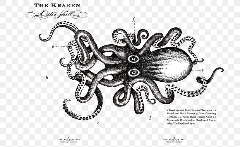 Kraken Rum Sea Monster Octopus, PNG, 720x504px, Kraken Rum, Art, Artwork, Black And White, Body Jewelry Download Free