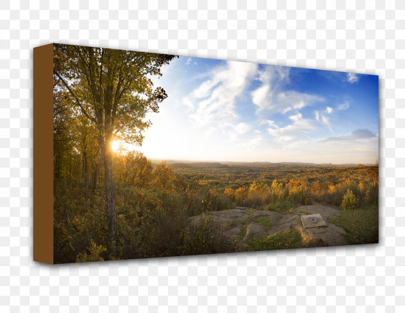 Painting Ecosystem Picture Frames Rectangle, PNG, 1654x1282px, Painting, Ecosystem, Grass, Landscape, Picture Frame Download Free