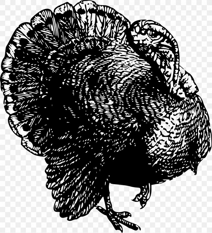 Black Turkey Clip Art, PNG, 2183x2399px, Turkey, Beak, Bird, Black And White, Black Turkey Download Free