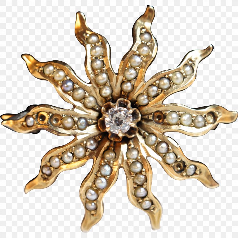 Body Jewellery Brooch Clothing Accessories Spider Flower, PNG, 1411x1411px, Jewellery, Body Jewellery, Body Jewelry, Brooch, Clothing Accessories Download Free
