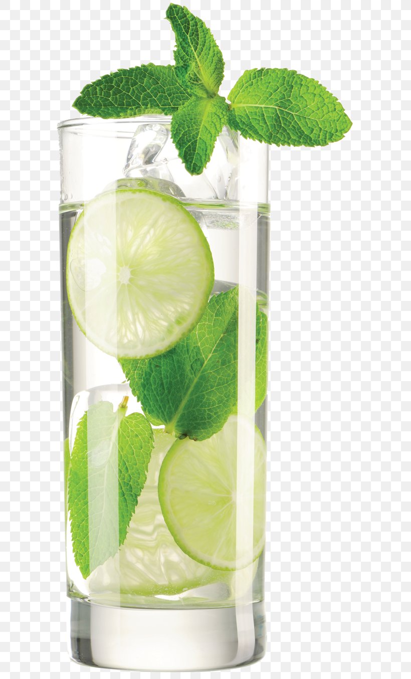 Mojito Caipirinha Vodka Tonic Water Filter Lime, PNG, 625x1354px, Mojito, Alcoholic Beverages, Caipirinha, Caipiroska, Citrus Download Free