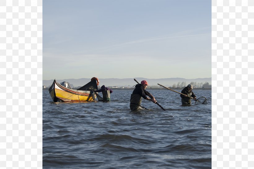 Sea Kayak Canoe Paddle Oar, PNG, 1024x682px, Sea Kayak, Boat, Boating, Canoe, Canoeing Download Free