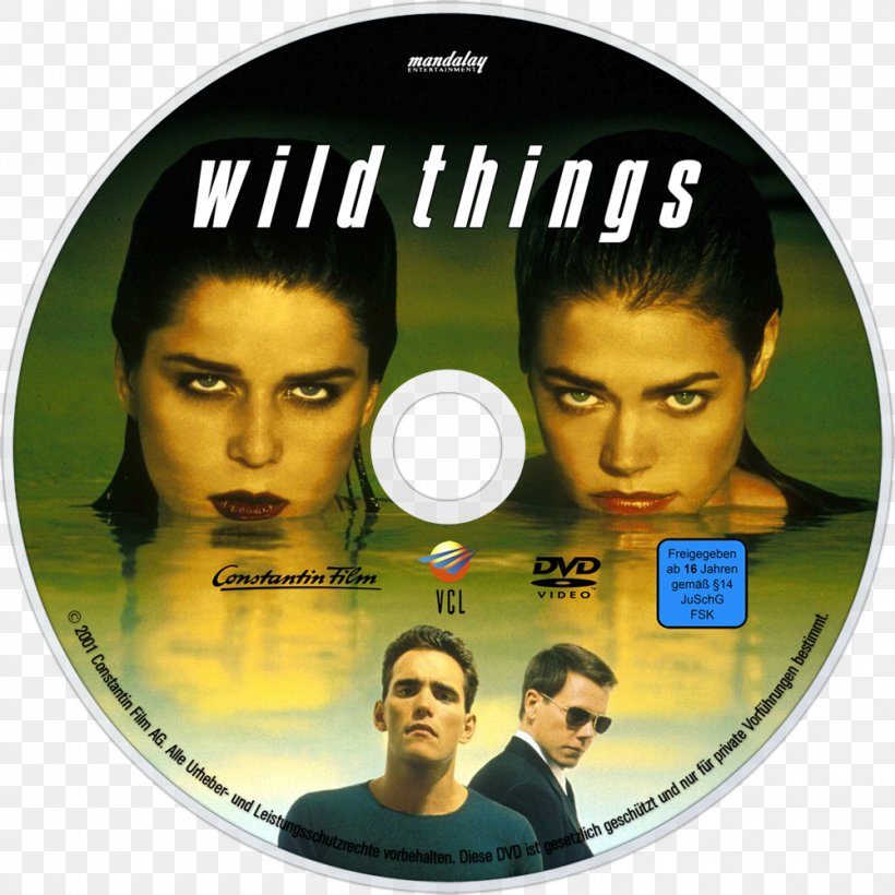 Wild Things: Foursome Denise Richards Neve Campbell YouTube, PNG, 1000x1000px, 1998, Wild Things, Compact Disc, Denise Richards, Dvd Download Free