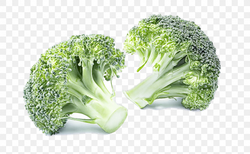 Cauliflower, PNG, 1024x633px, Broccoli, Cabbage, Cauliflower, Food, Leaf Vegetable Download Free
