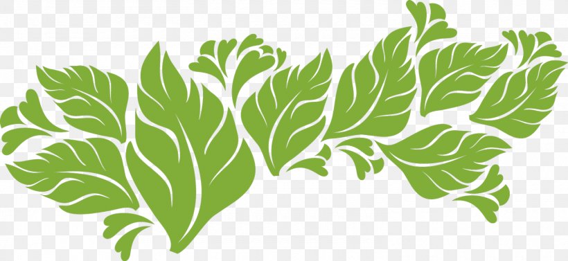 Leaf Vegetable Plant Stem Science Wallpaper, PNG, 1500x690px, Leaf, Branch, Grass, Green, Herb Download Free
