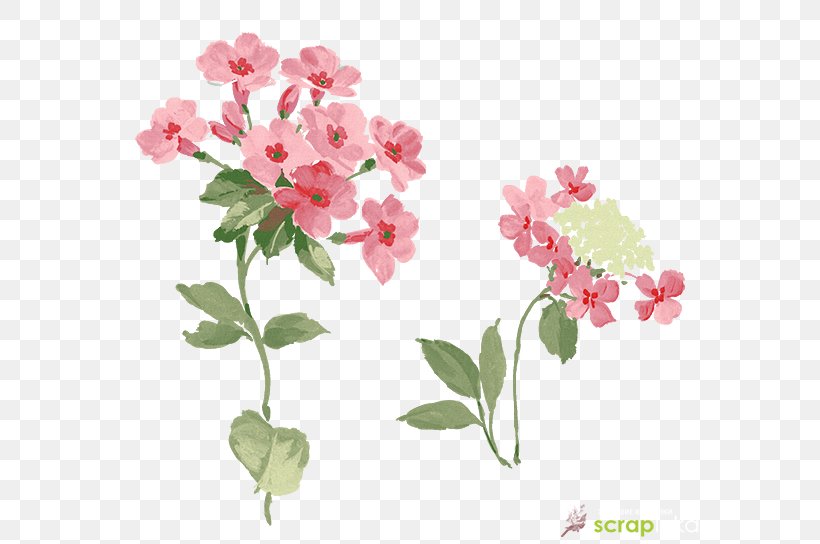 Flower Image Design, PNG, 600x544px, Flower, Blossom, Branch, Creativity, Cut Flowers Download Free