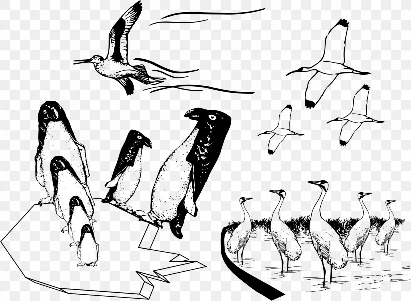 Bird Penguin Common Ostrich Drawing Image, PNG, 2287x1674px, Bird, Arm, Artwork, Beak, Black And White Download Free