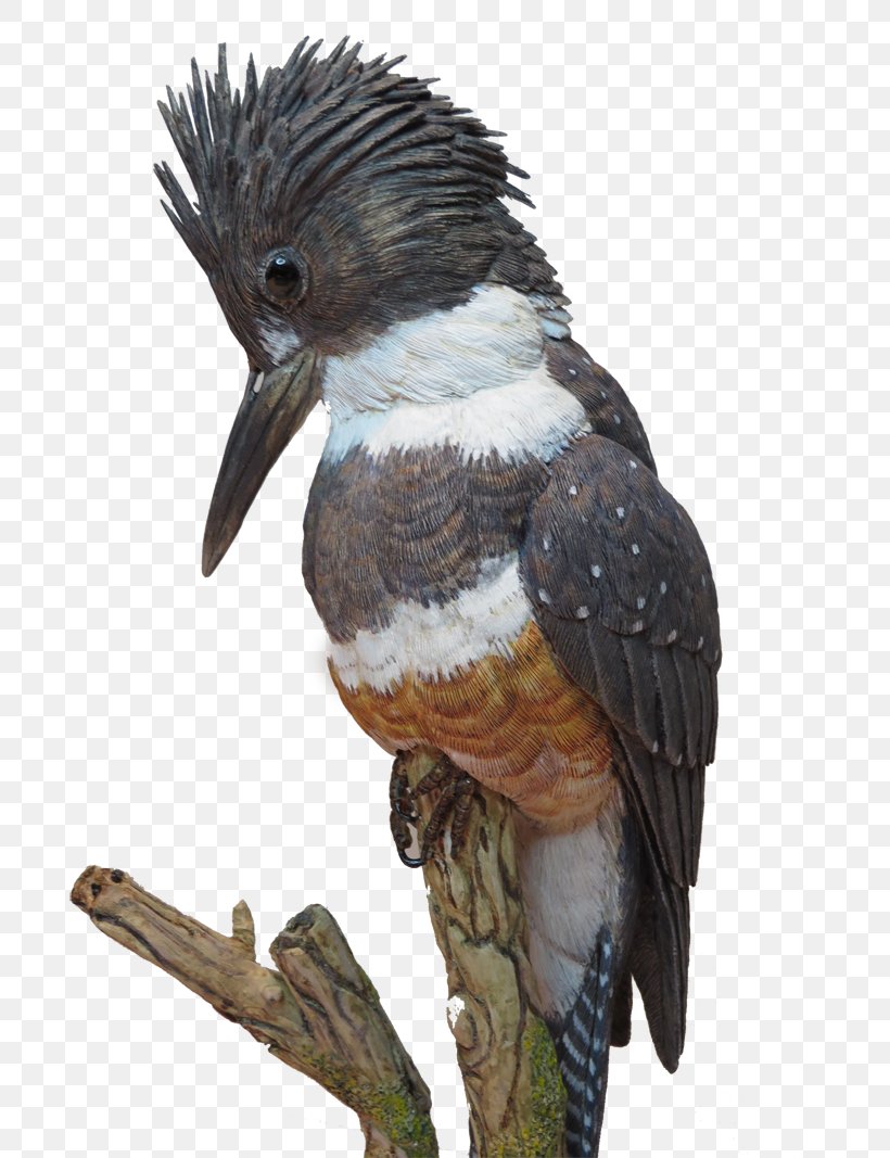 Bird Wood Carving Sculpture, PNG, 800x1067px, Bird, Art, Beak, Belted Kingfisher, Carving Download Free