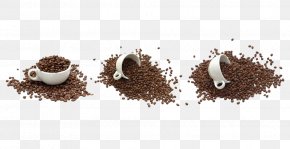 Coffee Cup Inside Coffee Beans - Coffee Polyandry Polygyny Love Breakup PNG