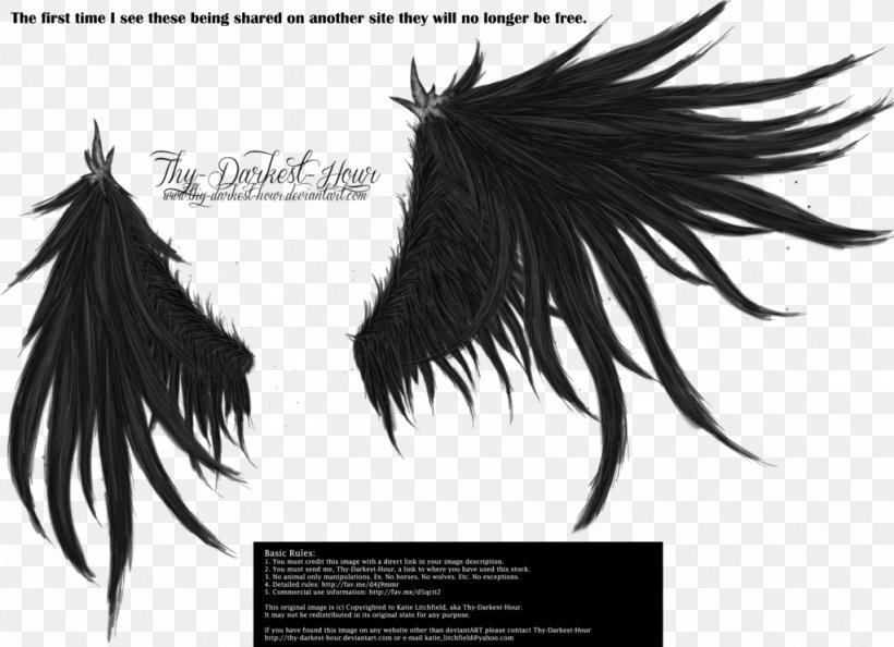 Download Wing Clip Art, PNG, 1023x742px, Wing, Angel Wing, Black And White, Black Hair, Darkest Hour Download Free