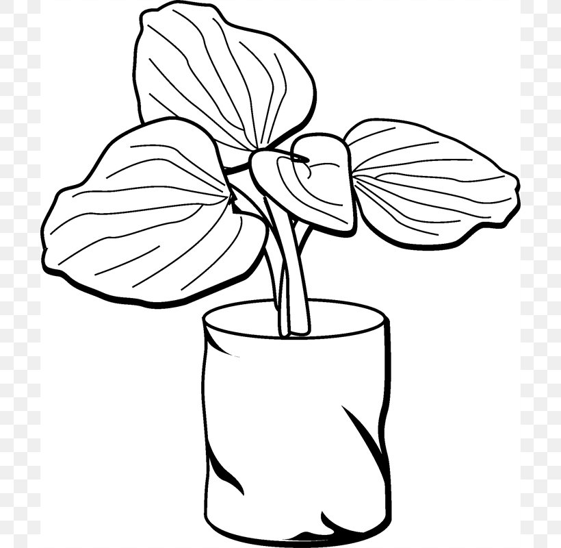 Floral Design Cut Flowers Plant Stem Leaf Line Art, PNG, 800x800px, Floral Design, Artwork, Black And White, Cartoon, Character Download Free