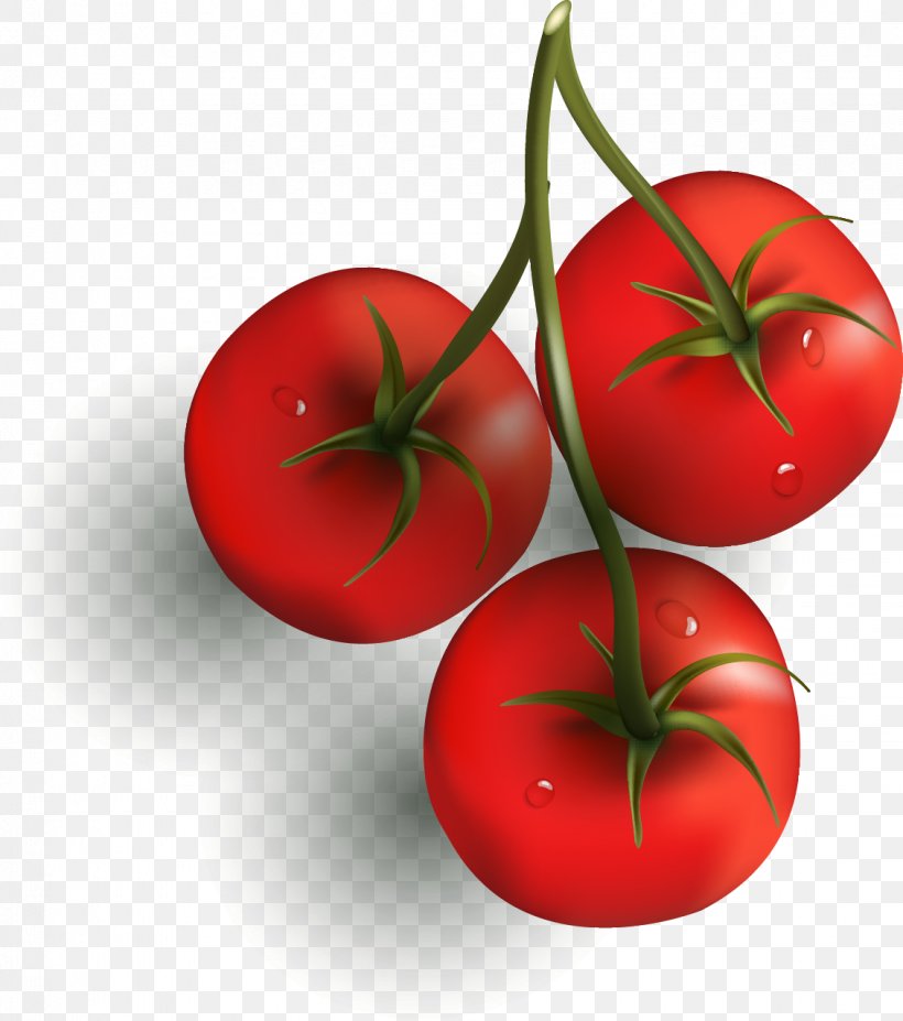 Cherry Tomato Vegetable Capsicum Chili Con Carne Clip Art, PNG, 1130x1278px, Cherry Tomato, Bush Tomato, Capsicum, Cherry, Chili Con Carne Download Free