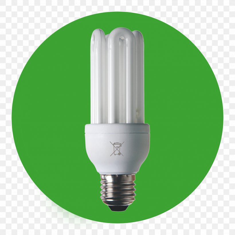 Compact Fluorescent Lamp Recycling LED Lamp, PNG, 2008x2008px, Compact Fluorescent Lamp, Calcin, Energy, Fluorescence, Fluorescent Lamp Download Free