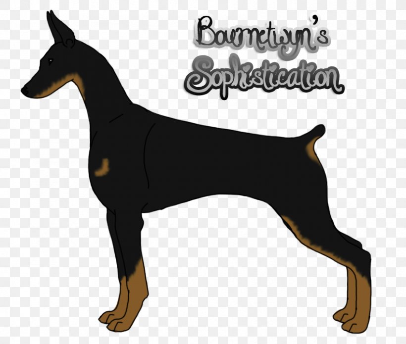 Dobermann German Pinscher Miniature Pinscher Manchester Terrier Dog Breed, PNG, 848x719px, Dobermann, Breed, Carnivoran, Dog, Dog Breed Download Free