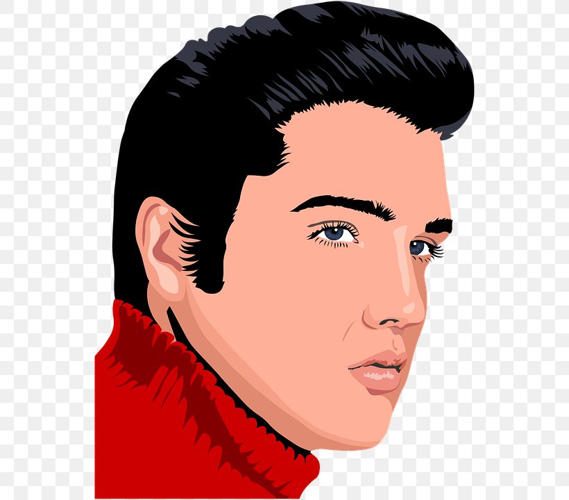 Elvis Presley Elvis Elvis Elvis, PNG, 550x720px, Watercolor, Cartoon, Flower, Frame, Heart Download Free