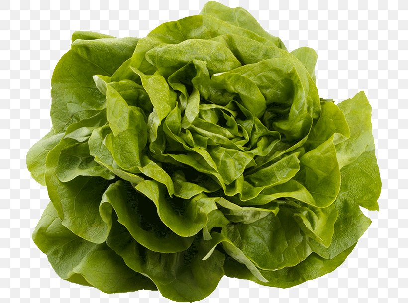 Leaf Vegetable Vegetable Food Lettuce Iceburg Lettuce, PNG, 717x610px, Leaf Vegetable, Blue Sow Thistle, Flower, Food, Iceburg Lettuce Download Free
