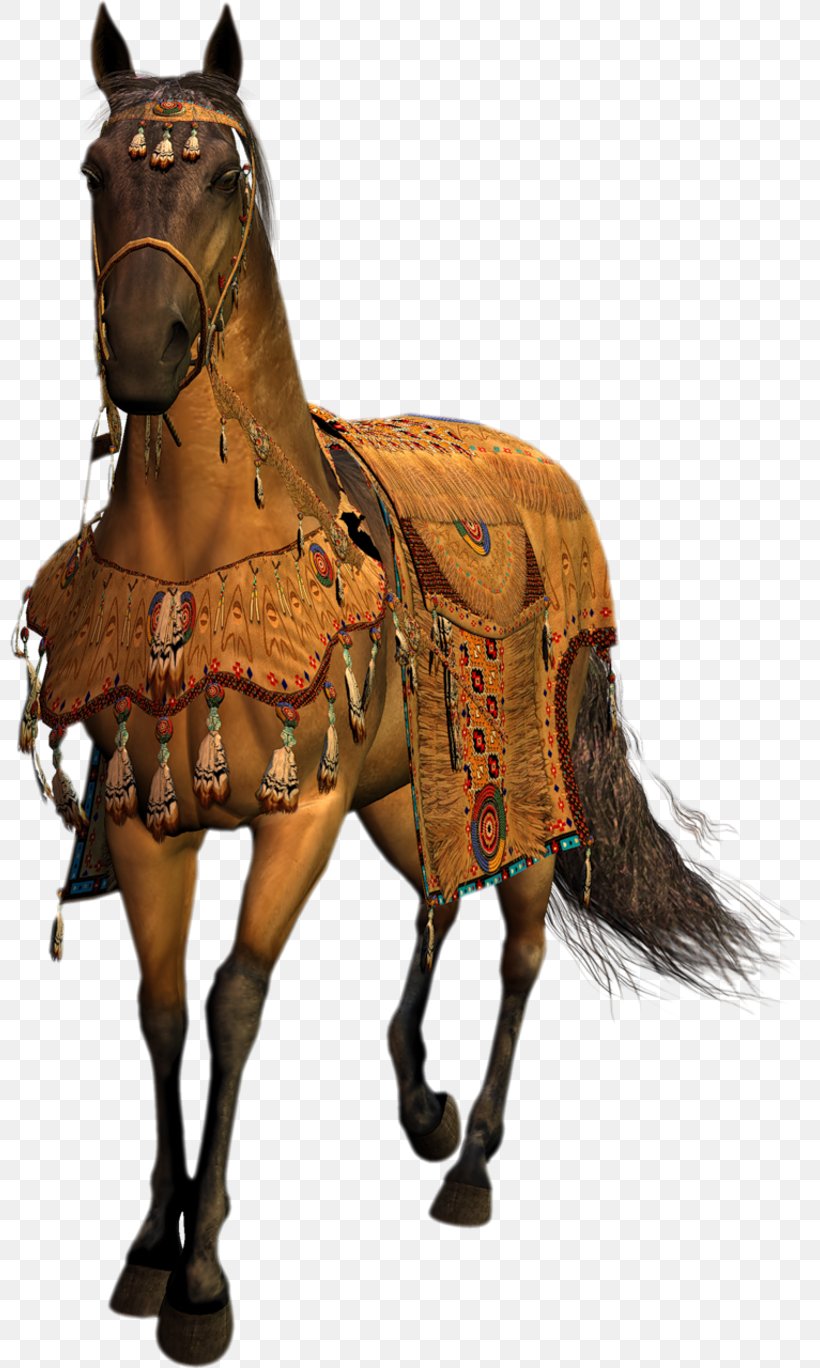 Middle Ages Horse Harnesses Mustang Stallion Blog, PNG, 800x1368px, Middle Ages, Art, Blog, Bridle, Guestbook Download Free