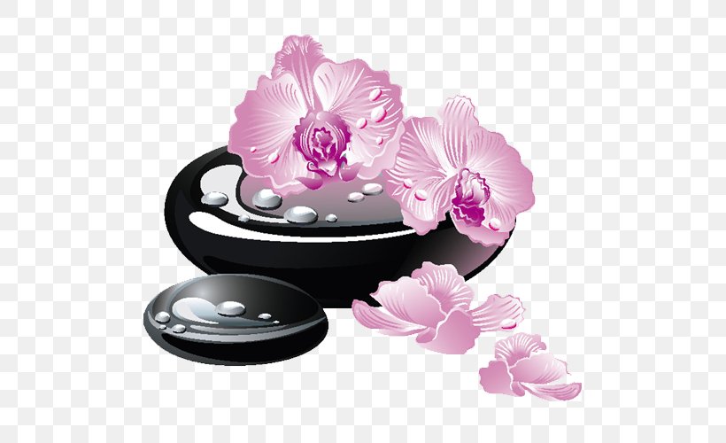 Stone Massage Rock Day Spa Illustration, PNG, 500x500px, Stone Massage, Basalt, Beauty Parlour, Day Spa, Flower Download Free