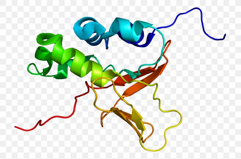 TGFBI Lattice Corneal Dystrophy Transforming Growth Factor Beta Protein, PNG, 771x542px, Tgfbi, Artwork, Biology, Cornea, Gene Download Free